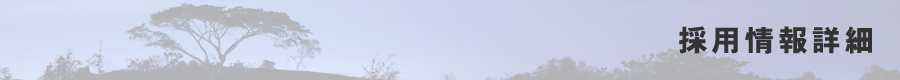 採用情報詳細